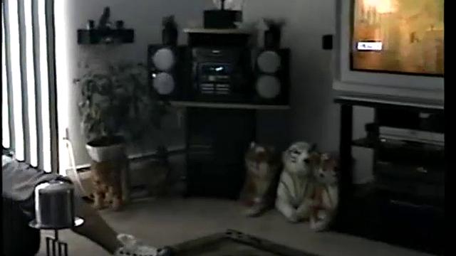 Ass Fucking Straight Johnny