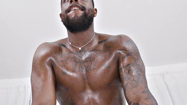 Industry Debut for Flex Stud