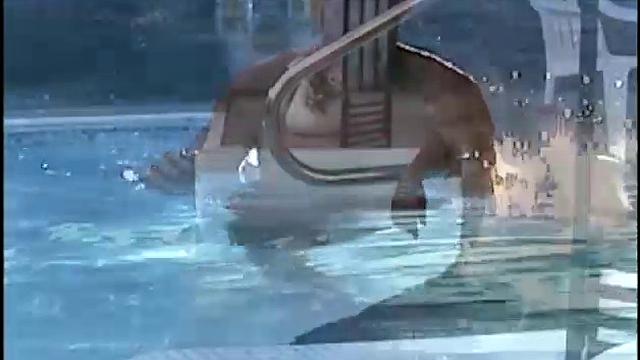 Getting Off With Cory