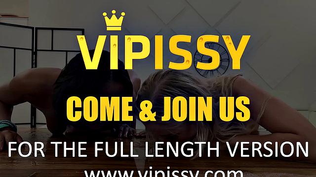 Vipissy - Distractions