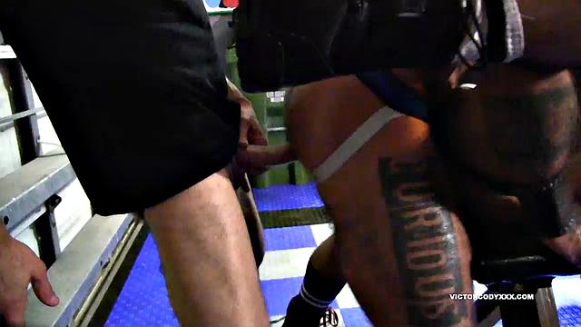 Pig Bareback Sex Orgy