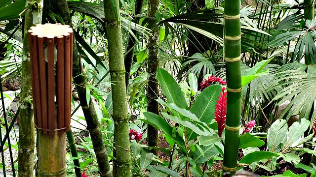 The Spectacular Natural Wonders of Sofia