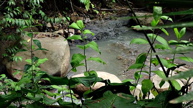 The Spectacular Natural Wonders of Sofia