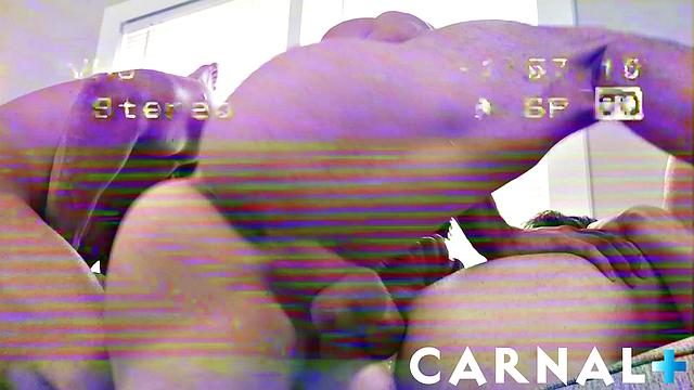 INTERNATIONAL TRANSFER - Afternoon Bliss