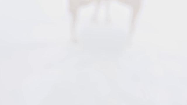 Lesbian Fisting - Asian babe orgasms during fisting