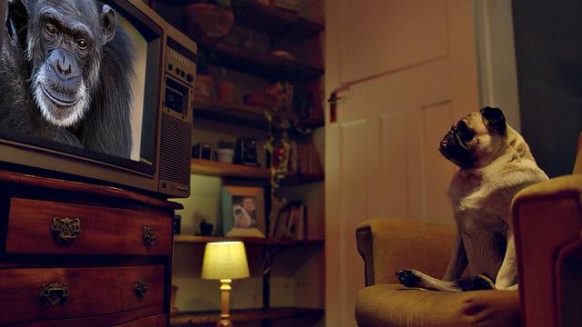 Veronica Leal: Explosive Oral