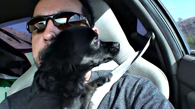 Busty teen masturbates in POV scene