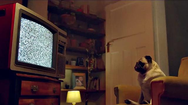 Blake Blossom Vs. Hungry Hella