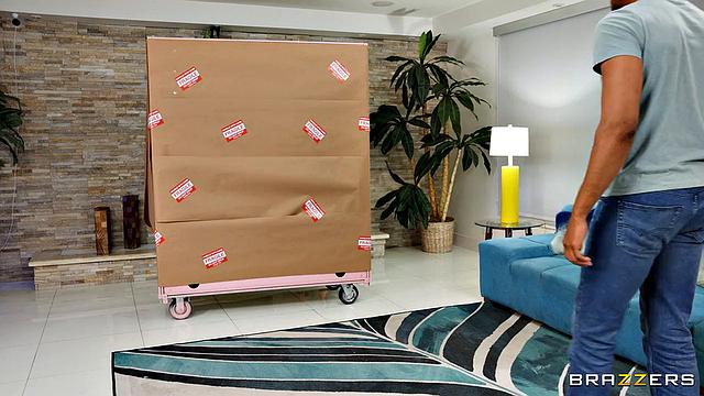 All Dolled Up: Try Me!