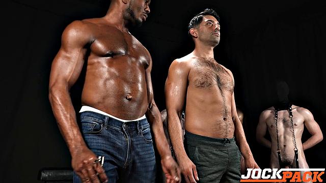 Stud Evaluation Stud Loads Vol. 9