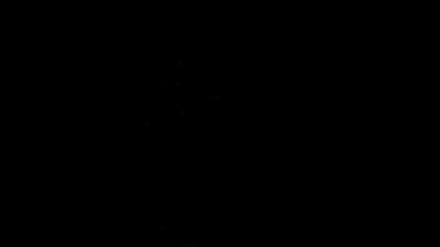 Whipped sub gets toyed by master with dildo stick