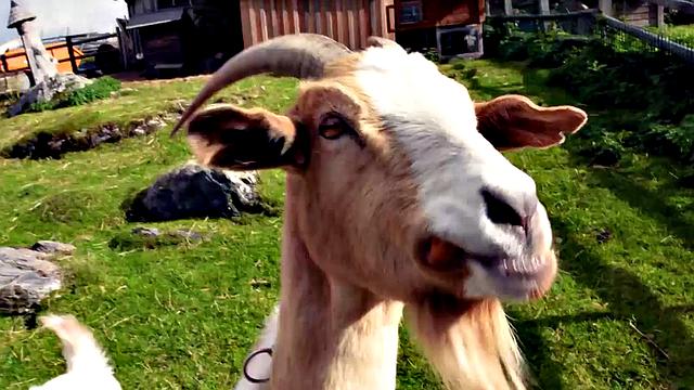 Lesbian Intermezzo In Sunshine