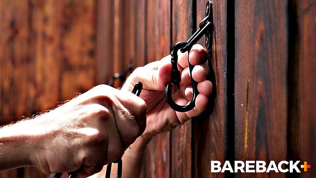 Breeding Wall LOADS Vol. 1