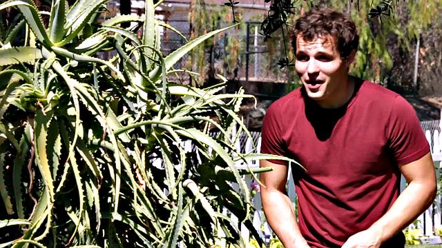 FANTASY MASSAGE - Horny MILF India Summer Sucks Cock In Glory Hole During Massage