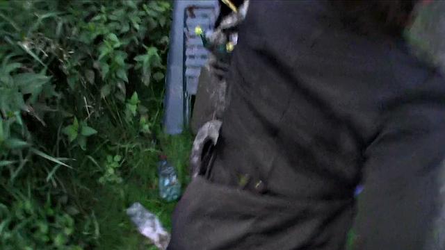 Brunette cutie can't resist public sex & deepthroats like a pro