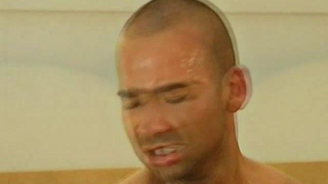 Hairy Bears Oral Sex