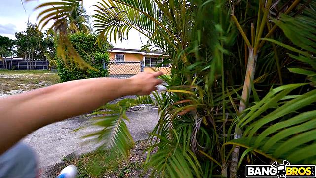 In Need of a Big Ass