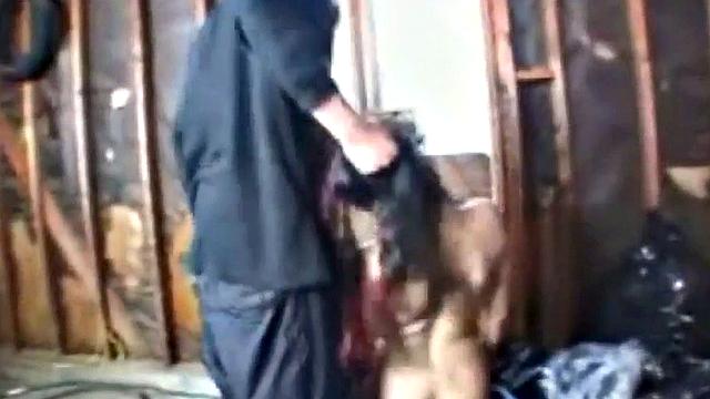 Dirty slut pounded in ass