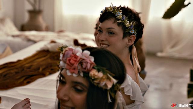 Wellness & Enlightenment - Part 2