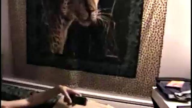 Eating My Cum Off Black Cock