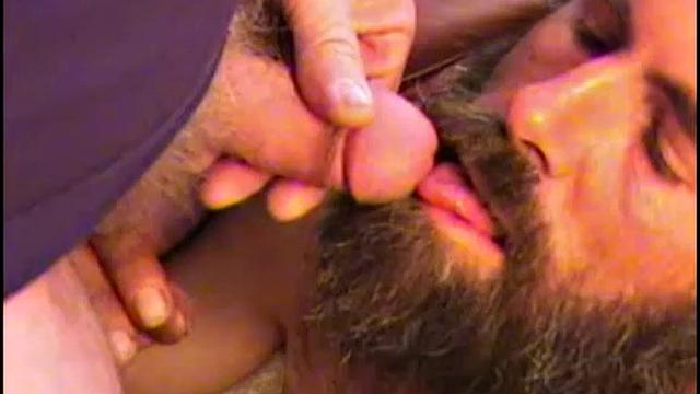 Spike is from the street and I consider him a friend. He's nice and somewhat of a prankster, but when he's around you'd better watch whatever you have of value.