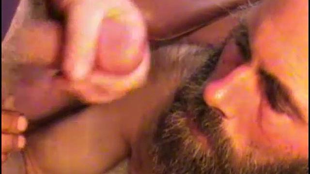 Spike is from the street and I consider him a friend. He's nice and somewhat of a prankster, but when he's around you'd better watch whatever you have of value.