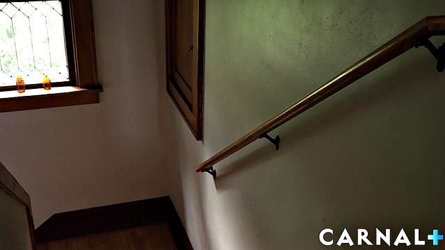 Fresh Start WITH THE PROFESSOR Vol. 2