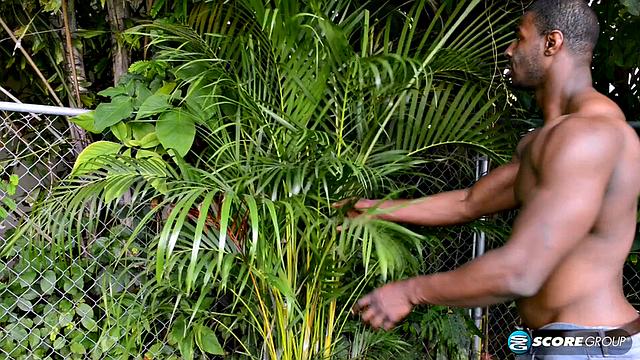 What Zoraya's ex-husband Say if He Could See Her Now?