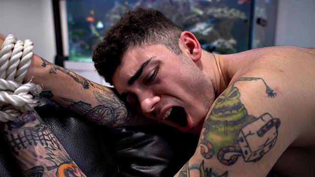 аштин бэйтс связан и жёстко выебан развратным парнем