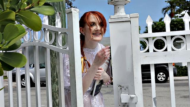 Bracefaced Redhead Bush