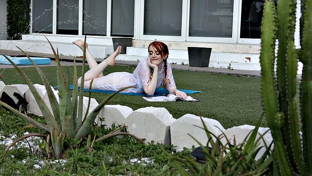 Bracefaced Redhead Bush