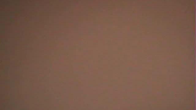 Hot And Horny Couple Have Sex In The Car