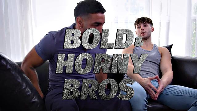 Bold Horny Guys