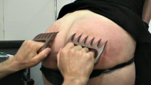 The Human Experiment