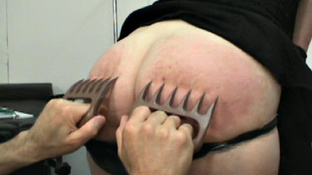 The Human Experiment