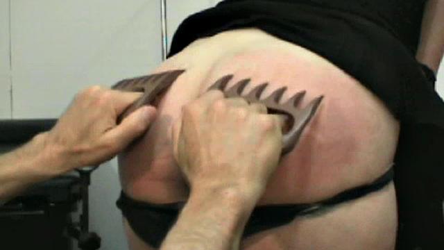 The Human Experiment