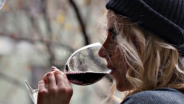 Lindsay Cruz - In Good Company