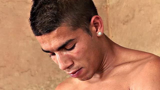 Gypsy Prince and Milosh Tas