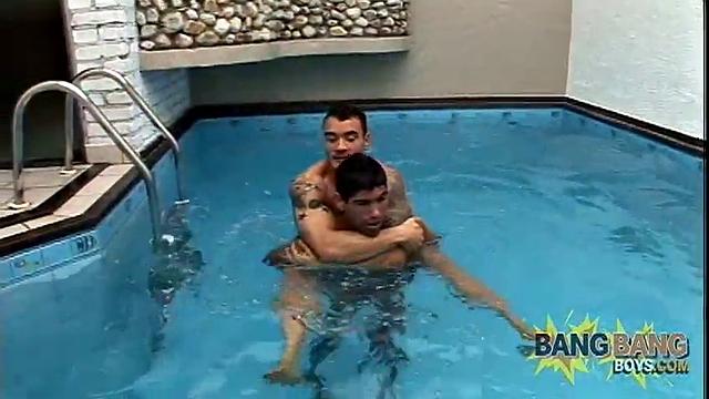 Gill and David Pelegrino Solo Duo