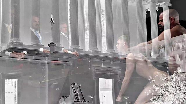 The Calling APPRENTICE FOX Vol. 1