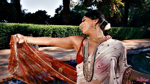 TOTM - Jasmine Blooms