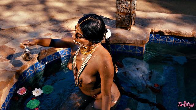 TOTM - Jasmine Blooms