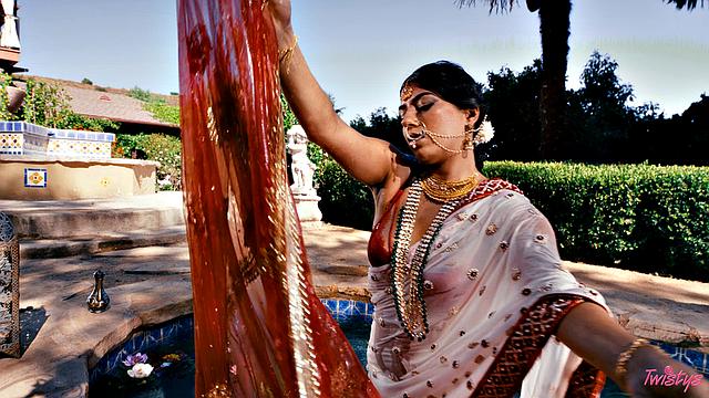 TOTM - Jasmine Blooms