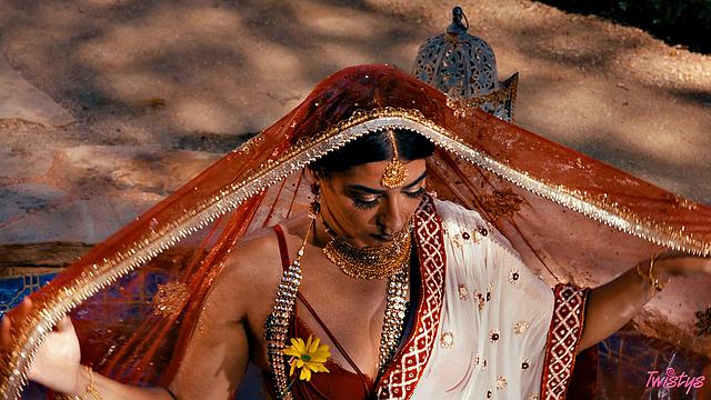 TOTM - Jasmine Blooms