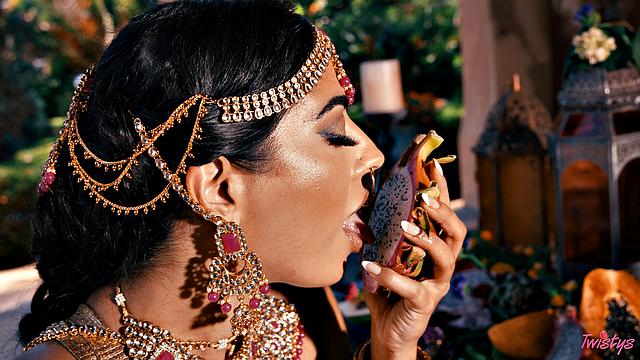 TOTM - Jasmine Blooms