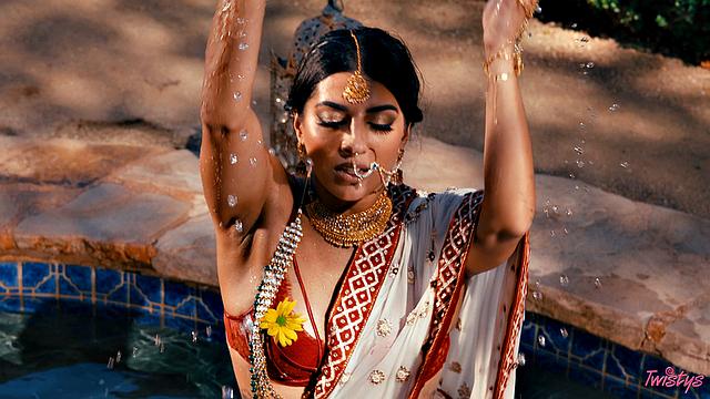 TOTM - Jasmine Blooms