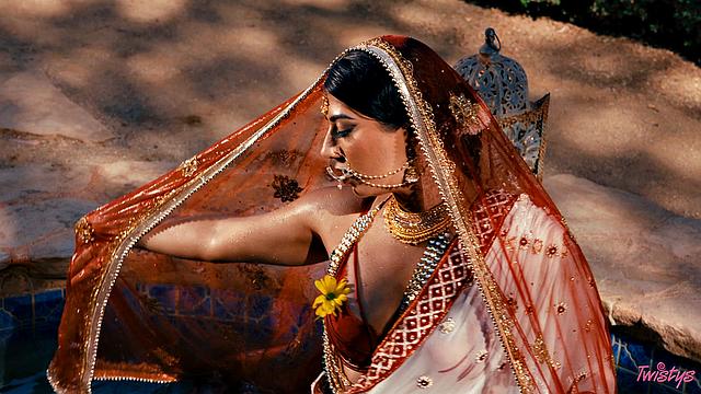 TOTM - Jasmine Blooms