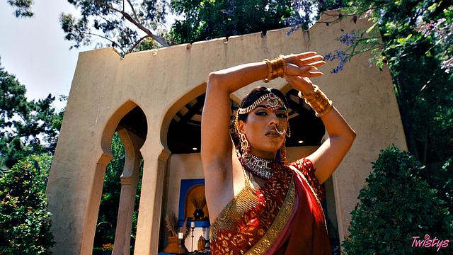 TOTM - Jasmine Blooms