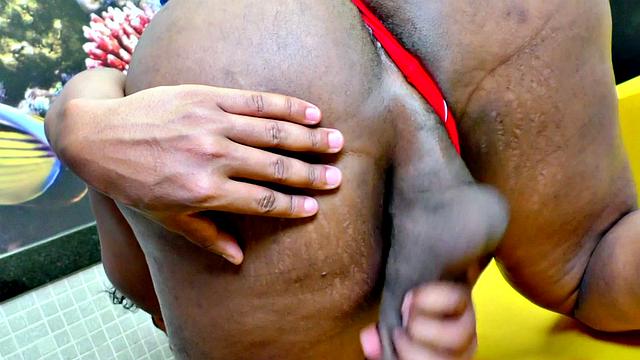 Monster TS Adrieli Pinheiro Solo