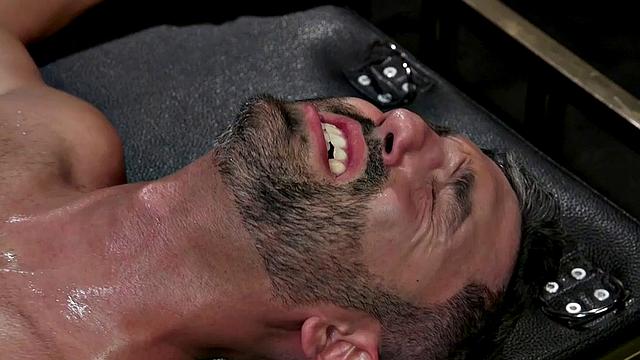 Caged handling electrosex session